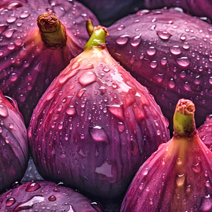 Figs - Image 3