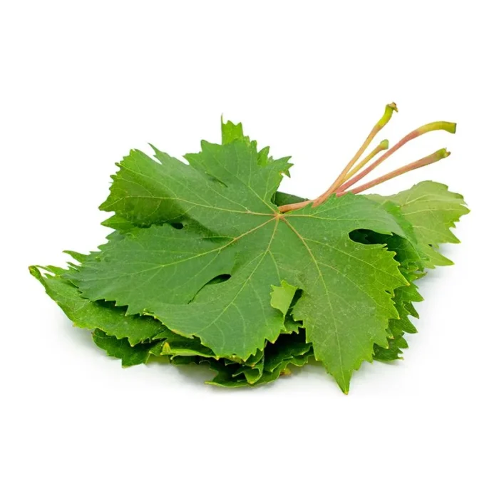 grape leaves - Image 1