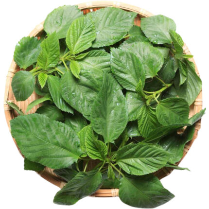 Molokhia Leaves